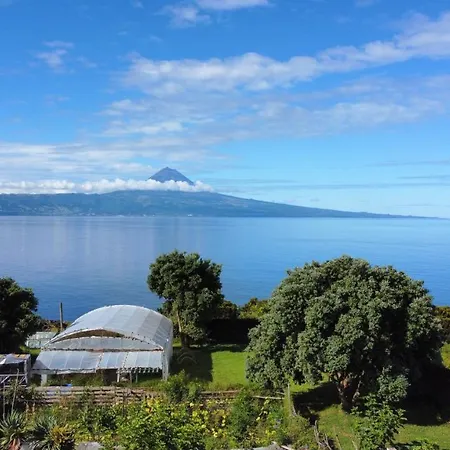 Accommodatie bij particulieren Quinta Dos Dragoeiros - Rral Nº3452 Queimada (Azores)